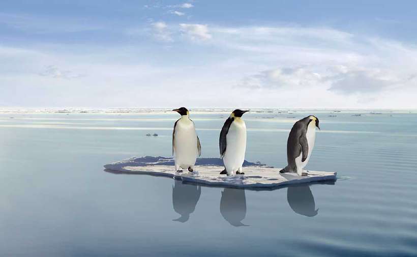 How Does Ice float?
