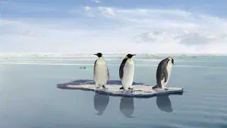Illustration for How Does Ice float?