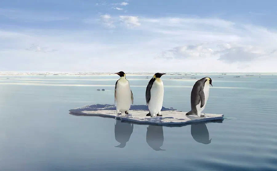 How Does Ice float?