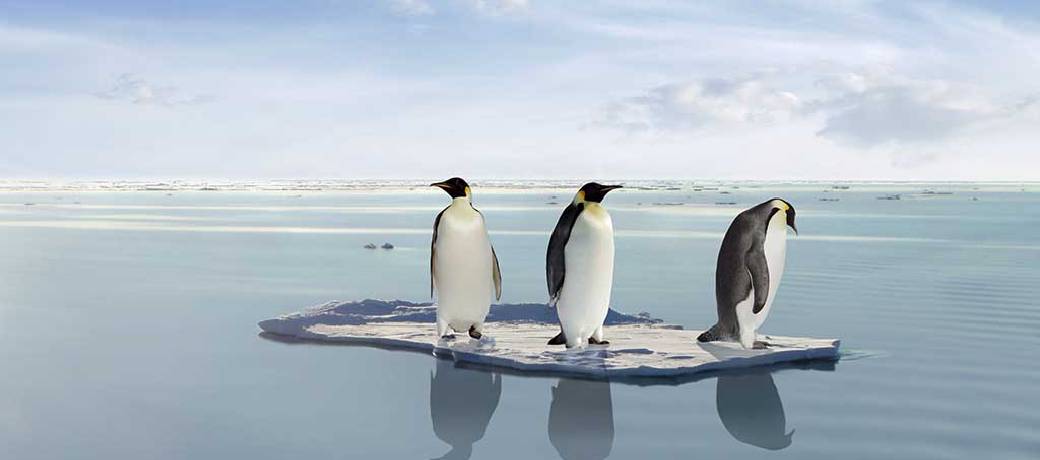 How Does Ice float?