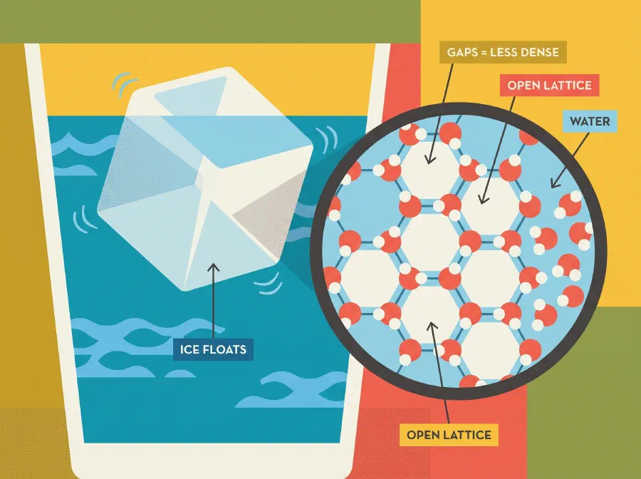 How Does Ice float?