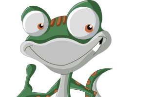 How Lizards Defy Gravity