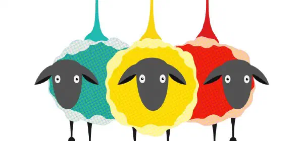Illustration for How Wool Came Into Existence