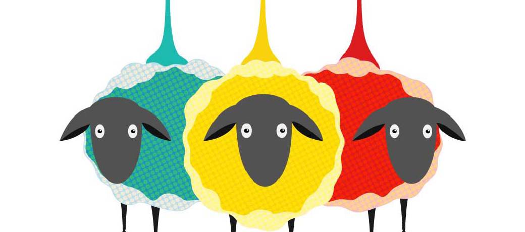 How Wool Came Into Existence