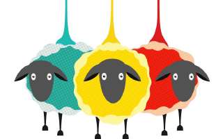 How Wool Came Into Existence