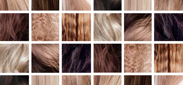 Illustration for Why is Hair Today, Gone Tomorrow?