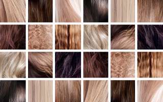 Why is Hair Today, Gone Tomorrow?