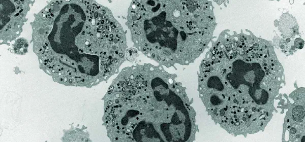 Illustration for What is Leukaemia?