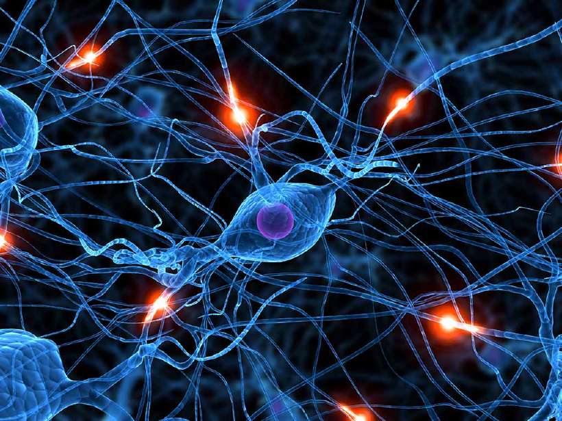 Illustration of neural activity