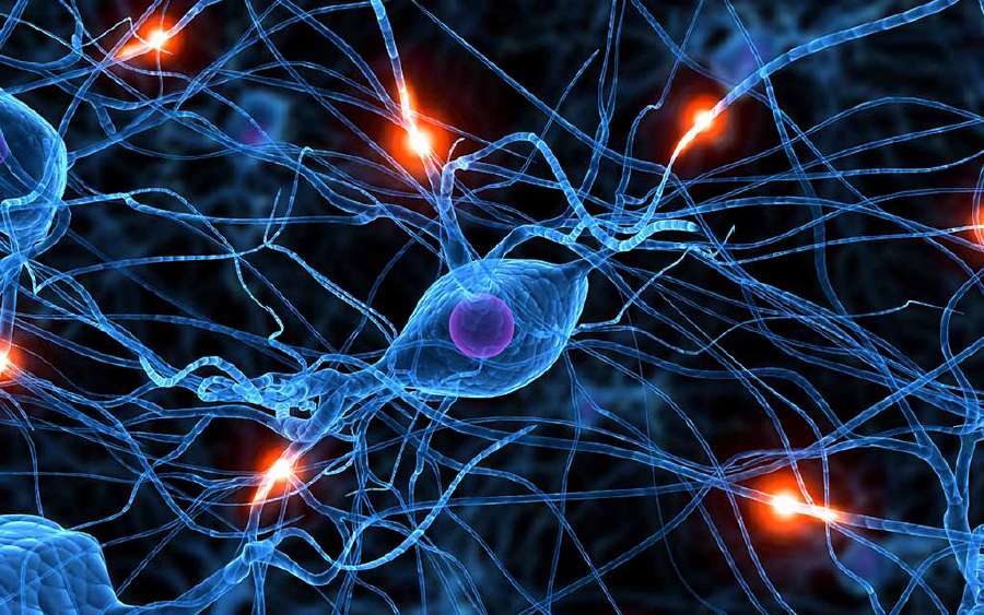 What is Memory?