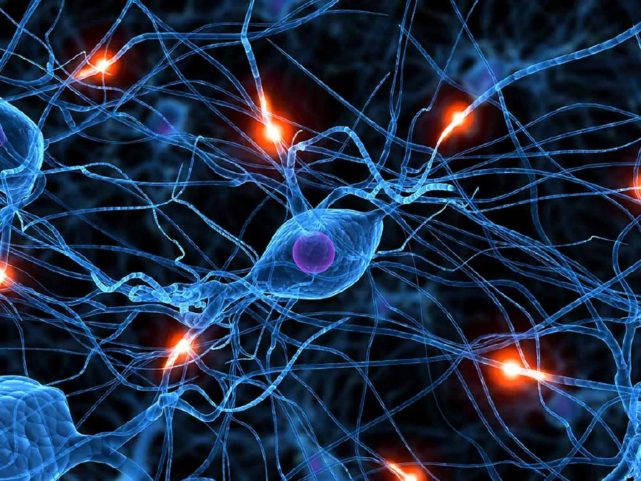 Illustration of neural activity