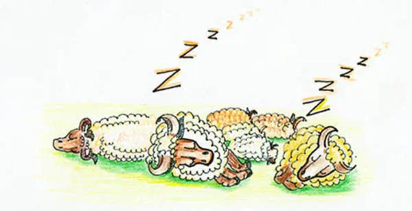 In, Pin, Tin [Illustrations by Amarjeet Malik]
