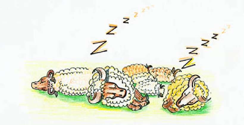 In, Pin, Tin [Illustrations by Amarjeet Malik]