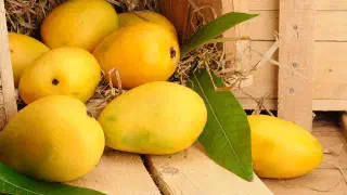 Illustration for Which is the Most Abundant Fruit in India?