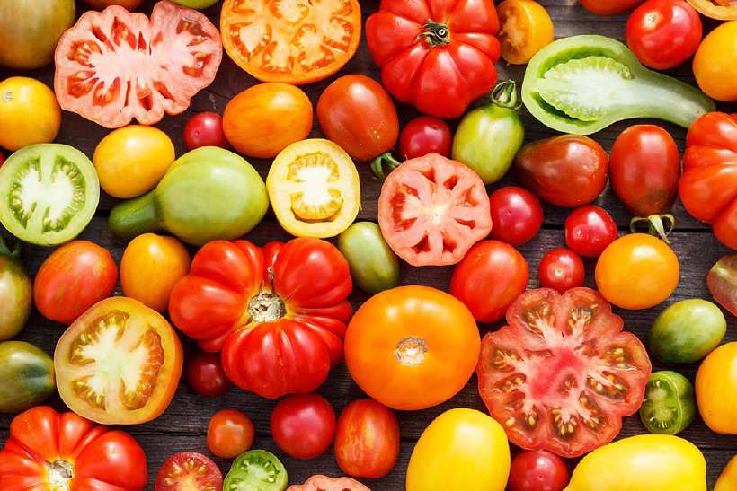 Is tomato a vegetable or a fruit?