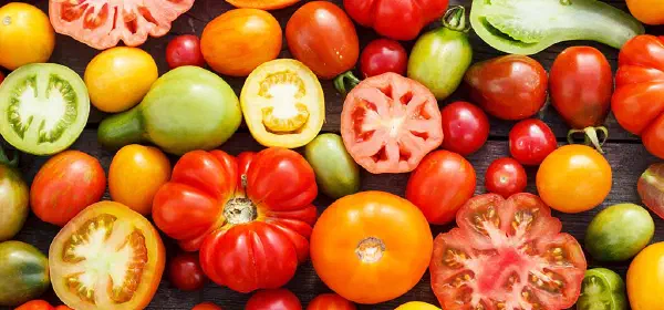 Illustration for Is Tomato a Vegetable or a Fruit?