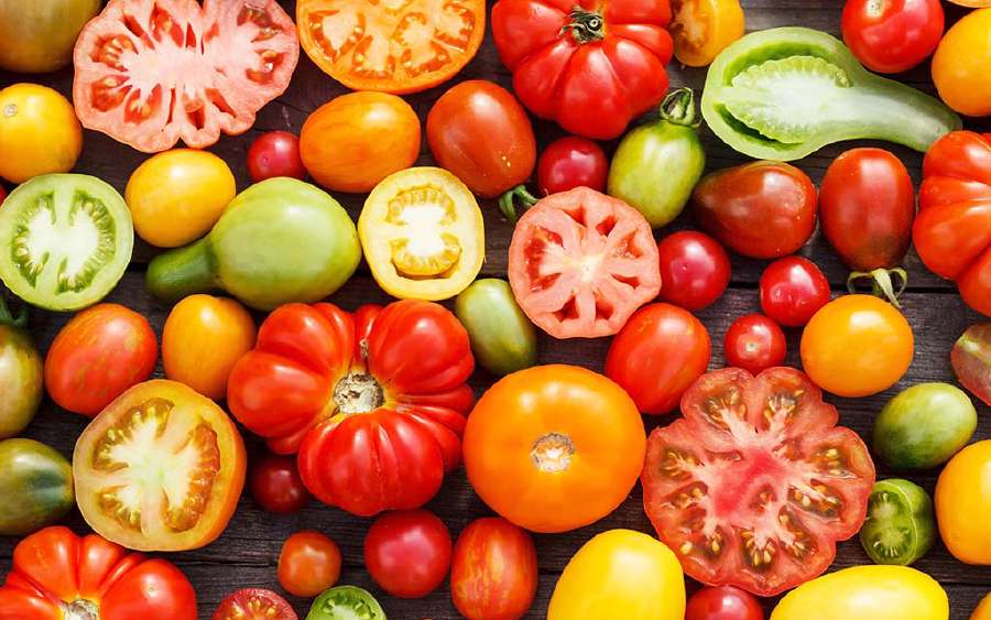 Is Tomato a Vegetable or a Fruit?