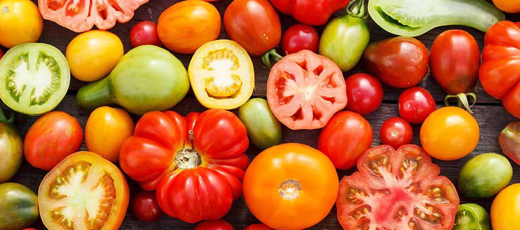 Is Tomato a Vegetable or a Fruit?