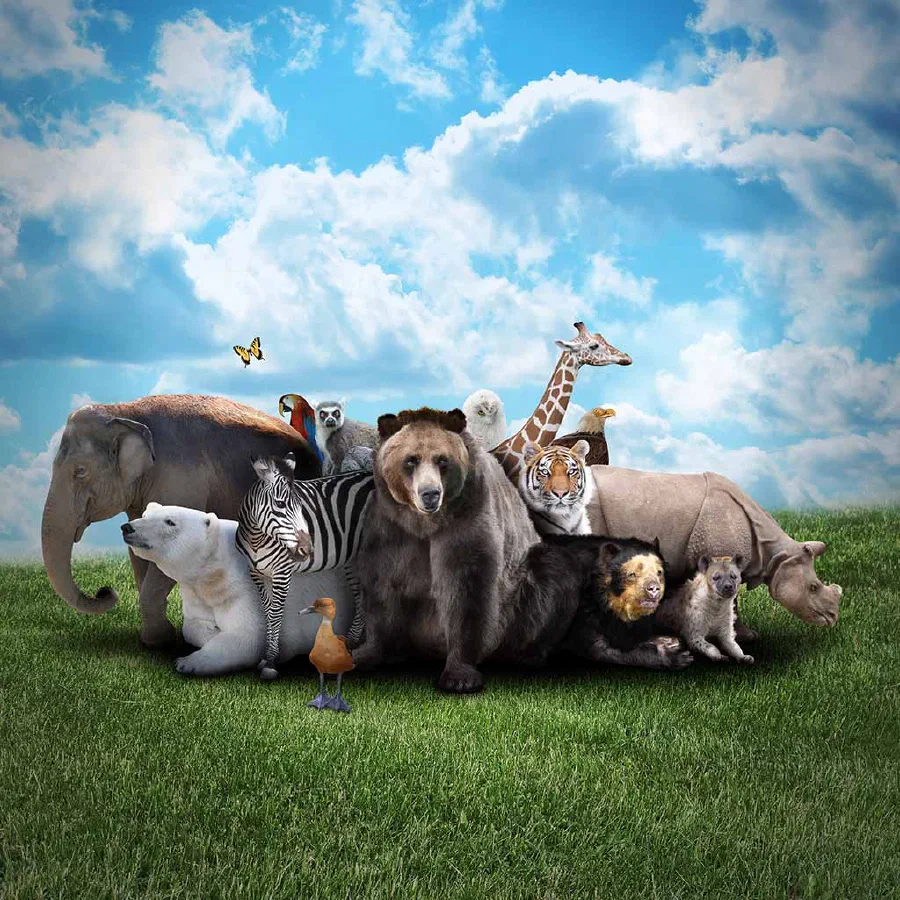 It's a Zoo Out There!