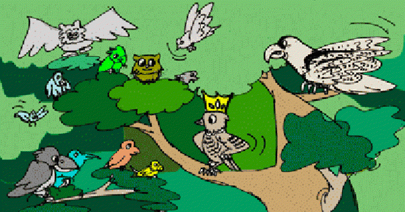 King of the Birds [Illustration by Sudheer Nath]