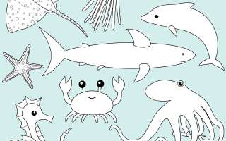 Life in the Sea