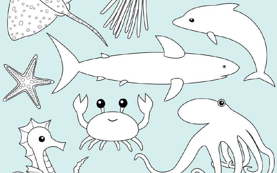 Life in the Sea