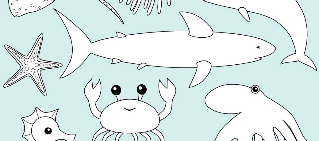 Life in the Sea