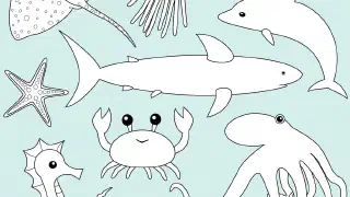 Illustration for Life in the Sea