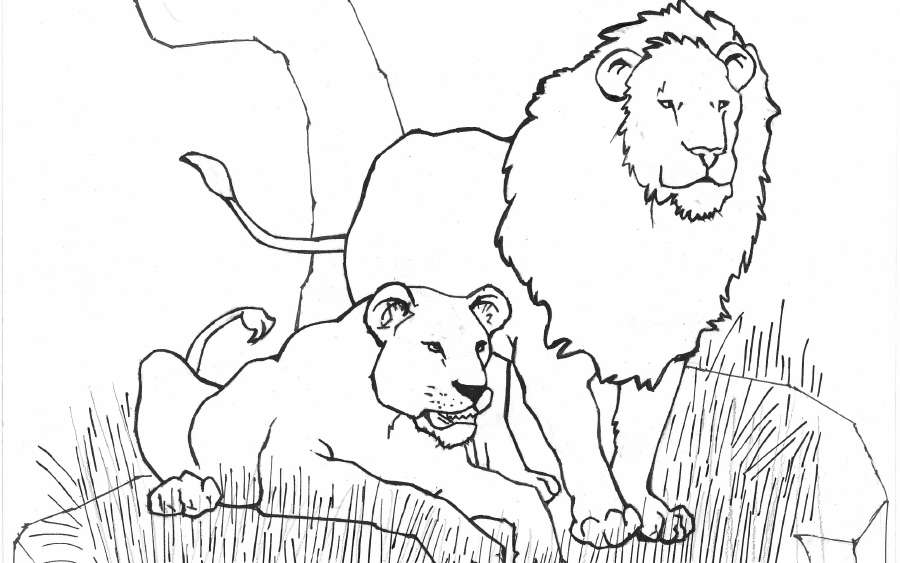 Wild Animals Coloring Pages