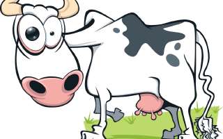 What is Mad Cow Disease?