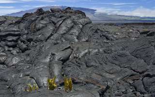 Rocky Planet of Fire and Ice