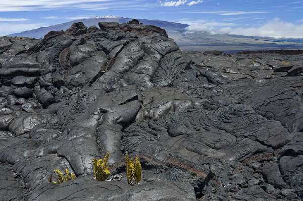 Cracked lava rocks from Mauna Loa volcano, one of five volcanoes that form the Island of Hawaii. It is the largest active volcano on Earth.