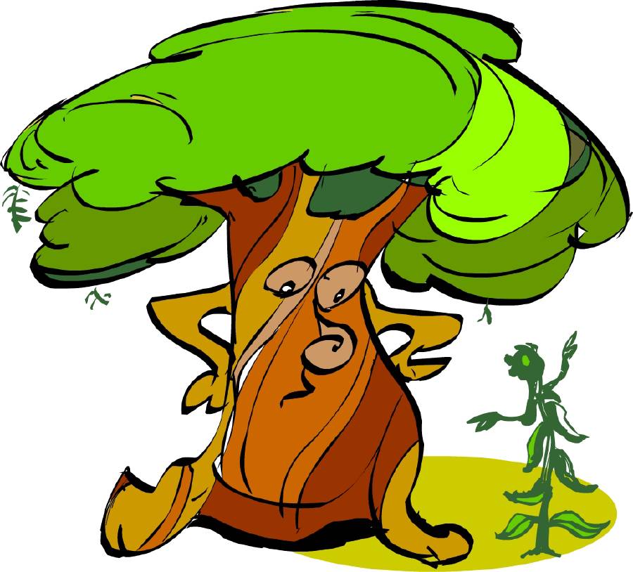 The mighty tree [Illustration by Shinod AP]