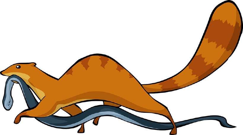 Mongoose killing a snake: Monu Makes his Mark - A story for kids