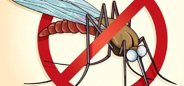 Illustration for Peppermint to Chase Mosquitoes Away