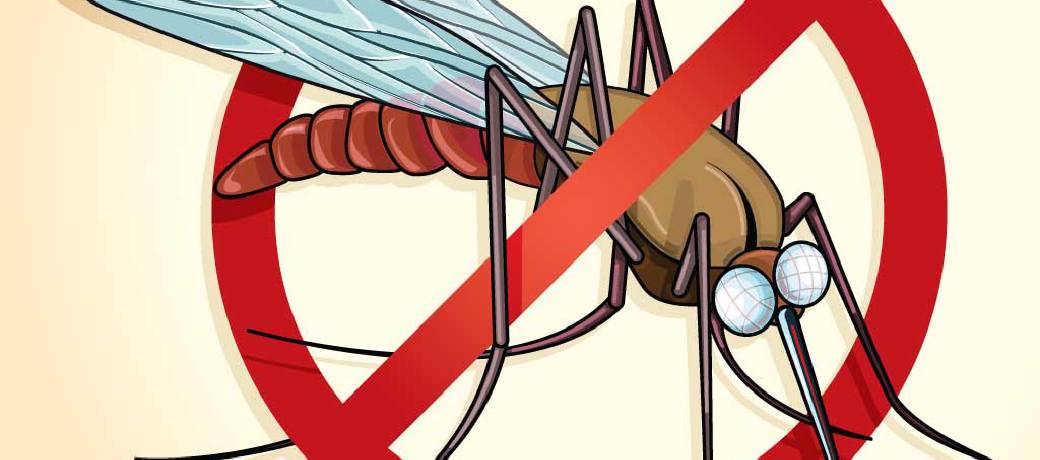 Illustration for Peppermint to Chase Mosquitoes Away