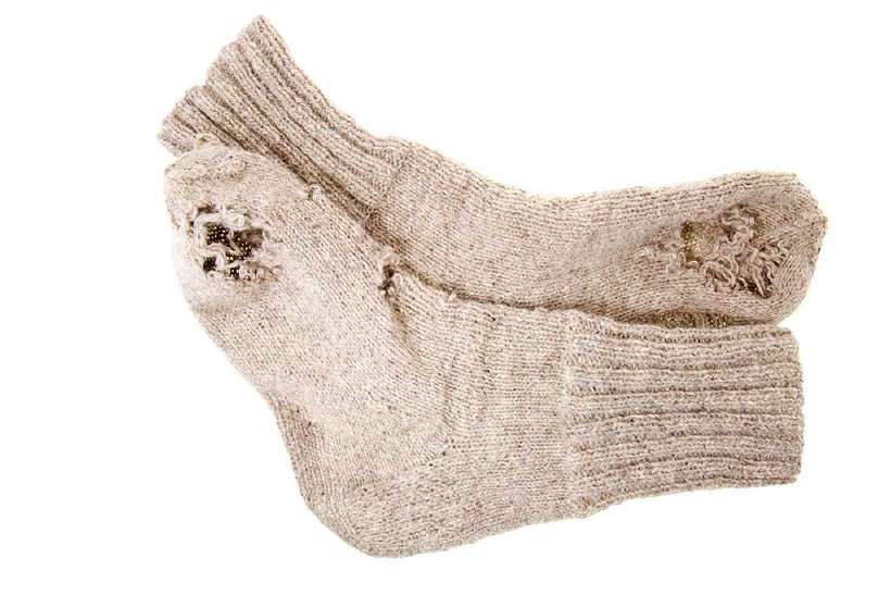 Caterpillars of certain moths feed on wool, furs and other fabrics and damage them.
