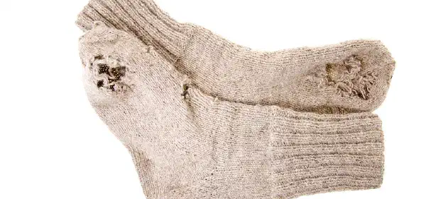 Illustration for Why do Woollens Get Holes?