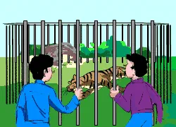 Tiger Target [Illustration by Anup Singh]