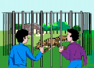 Tiger Target [Illustration by Anup Singh]