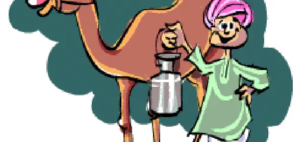 Illustration for Camel's Milk and Pet Registration