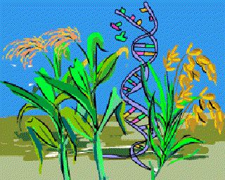 Made to Order [Illustration by Anup Singh]