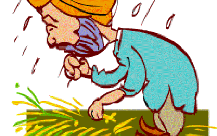 Welcome Rains?