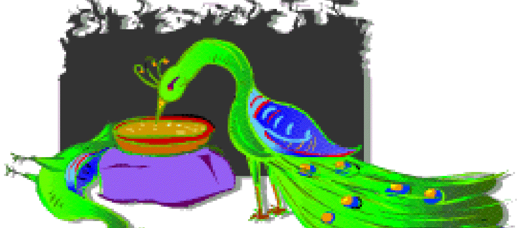 The Peacocks are Dying