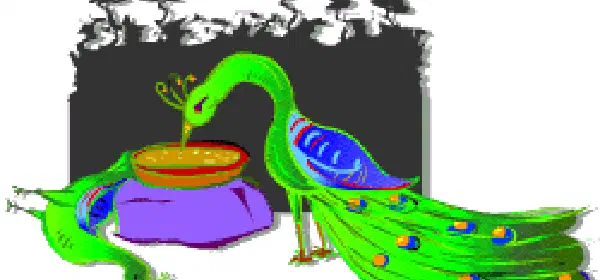 Illustration for The Peacocks are Dying