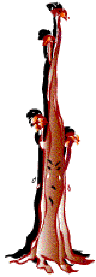 Microbes begin Deforestation [Illustration by Shinod AP]