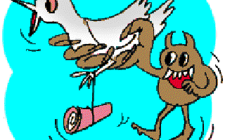 Orissa Police's Feathered Force is Dying