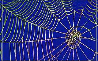 Web of Financial Scandal