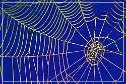 Web of Financial Scandal []