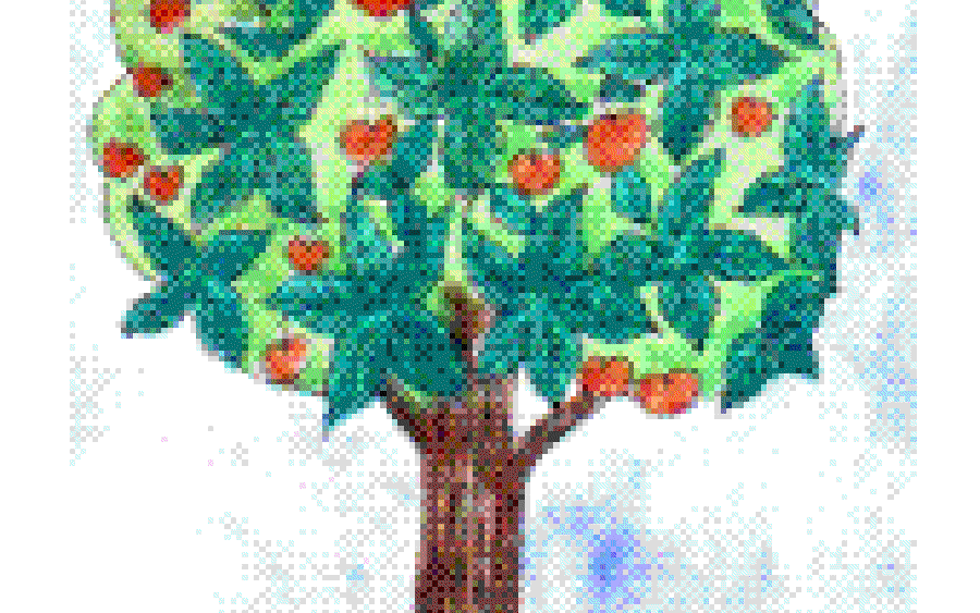 Trees of Delhi – Under the Axe!